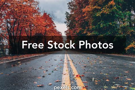 copyright free photos